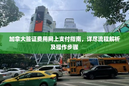 加拿大签证费用网上支付指南，详尽流程解析及操作步骤