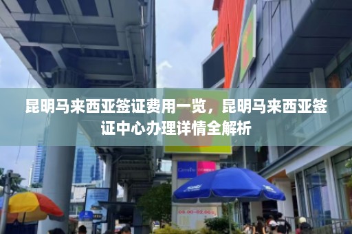 昆明马来西亚签证费用一览，昆明马来西亚签证中心办理详情全解析