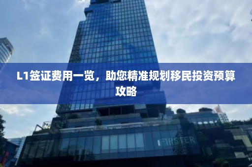 L1签证费用一览，助您精准规划移民投资预算攻略