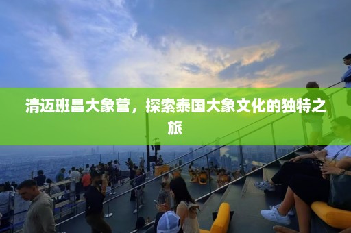 清迈班昌大象营，探索泰国大象文化的独特之旅