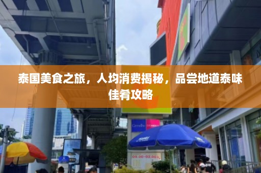 泰国美食之旅，人均消费揭秘，品尝地道泰味佳肴攻略