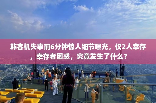 韩客机失事前6分钟惊人细节曝光，仅2人幸存，幸存者困惑，究竟发生了什么？