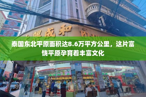 泰国东北平原面积达8.6万平方公里，这片富饶平原孕育着丰富文化