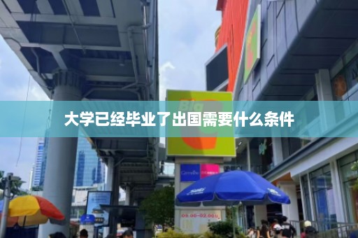 大学已经毕业了出国需要什么条件