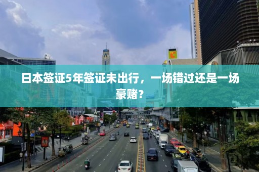 日本签证5年签证未出行，一场错过还是一场豪赌？