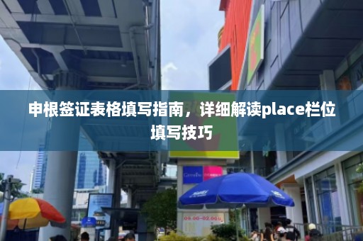 申根签证表格填写指南，详细解读place栏位填写技巧