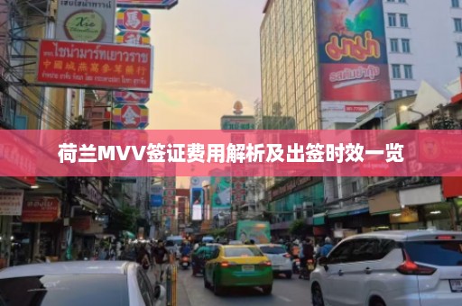 荷兰MVV签证费用解析及出签时效一览