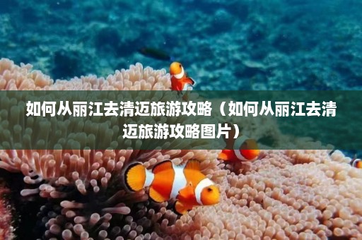 如何从丽江去清迈旅游攻略（如何从丽江去清迈旅游攻略图片）