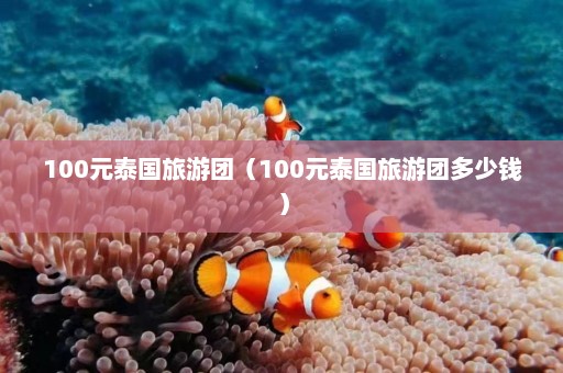 100元泰国旅游团（100元泰国旅游团多少钱）