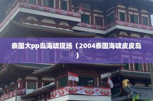 泰国大pp岛海啸现场（2004泰国海啸皮皮岛）