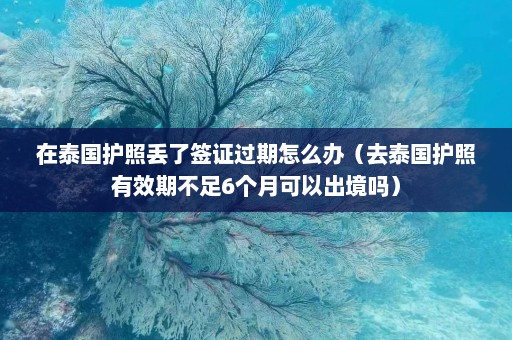 在泰国护照丢了签证过期怎么办（去泰国护照有效期不足6个月可以出境吗）