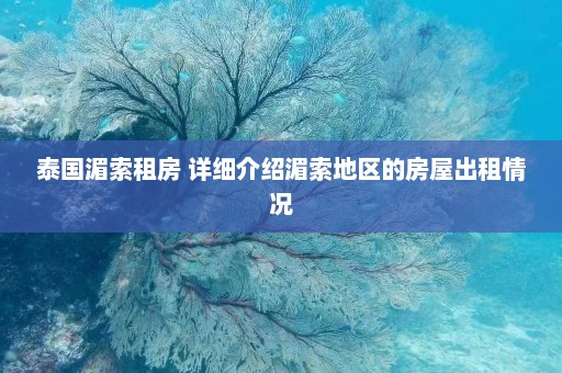 泰国湄索租房 详细介绍湄索地区的房屋出租情况