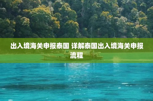 出入境海关申报泰国 详解泰国出入境海关申报流程