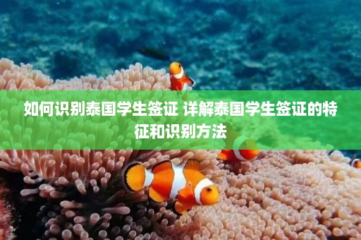 如何识别泰国学生签证 详解泰国学生签证的特征和识别方法