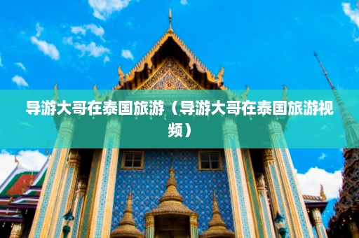 导游大哥在泰国旅游（导游大哥在泰国旅游视频）  第1张