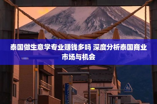 泰国做生意学专业赚钱多吗 深度分析泰国商业市场与机会