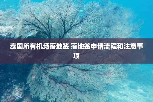 泰国所有机场落地签 落地签申请流程和注意事项