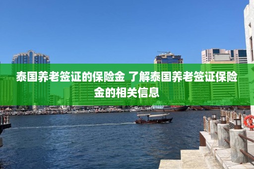 泰国养老签证的保险金 了解泰国养老签证保险金的相关信息  第1张