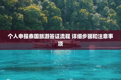 个人申报泰国旅游签证流程 详细步骤和注意事项