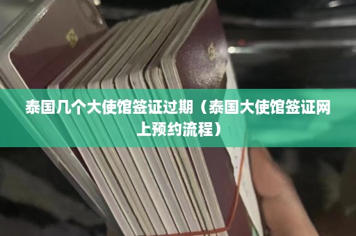 泰国几个大使馆签证过期（泰国大使馆签证网上预约流程）  第1张