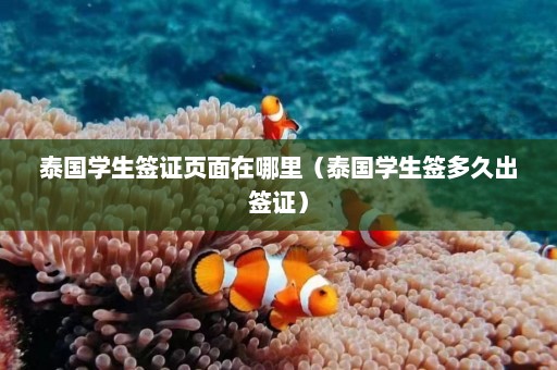 泰国学生签证页面在哪里（泰国学生签多久出签证）