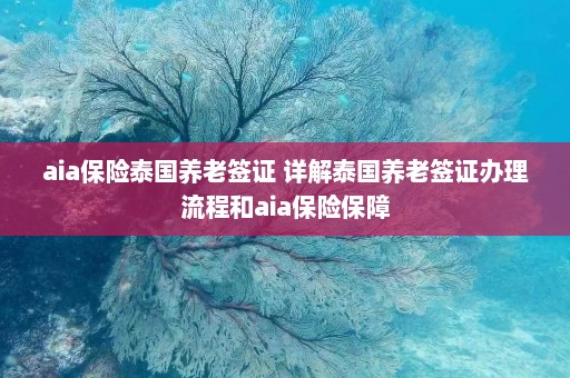 aia保险泰国养老签证 详解泰国养老签证办理流程和aia保险保障