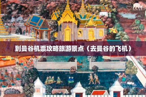 到曼谷机票攻略旅游景点（去曼谷的飞机）  第1张