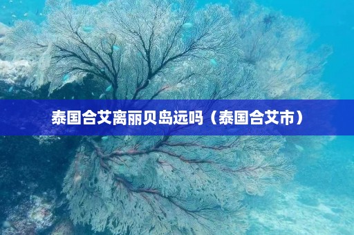 泰国合艾离丽贝岛远吗（泰国合艾市）