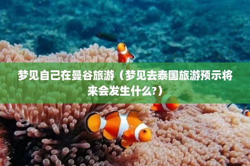 梦见自己在曼谷旅游（梦见去泰国旅游预示将来会发生什么?）