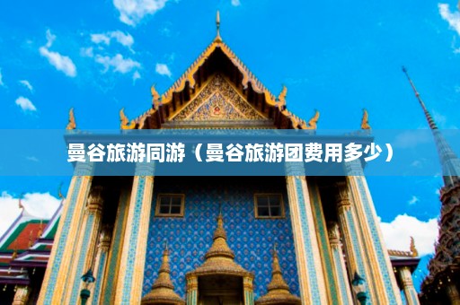 曼谷旅游同游（曼谷旅游团费用多少）