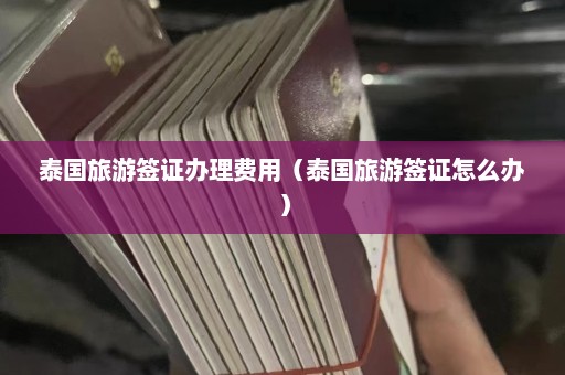 泰国旅游签证办理费用（泰国旅游签证怎么办）  第1张