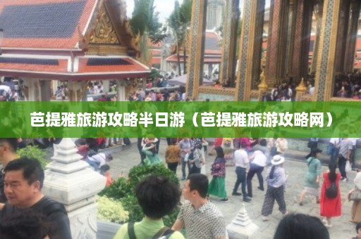 芭提雅旅游攻略半日游（芭提雅旅游攻略网）  第1张