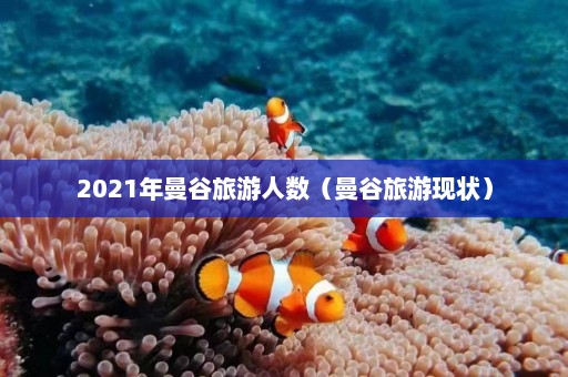 2021年曼谷旅游人数（曼谷旅游现状）