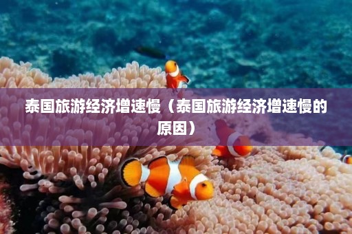 泰国旅游经济增速慢（泰国旅游经济增速慢的原因）