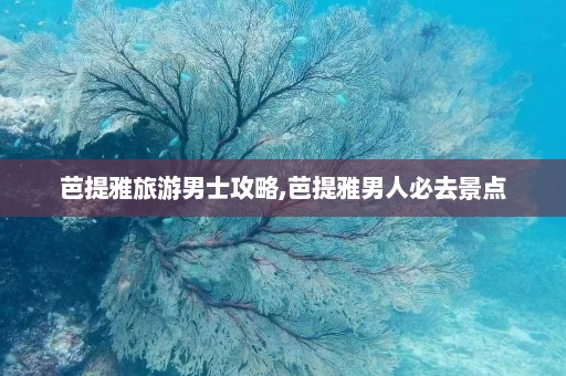 芭提雅旅游男士攻略,芭提雅男人必去景点