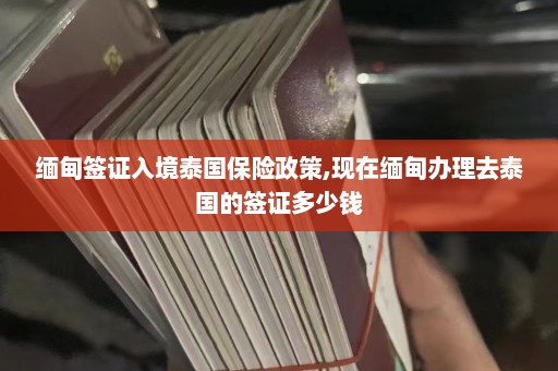 缅甸签证入境泰国保险政策,现在缅甸办理去泰国的签证多少钱  第1张