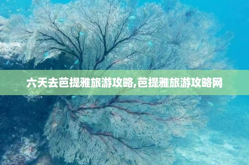 六天去芭提雅旅游攻略,芭提雅旅游攻略网