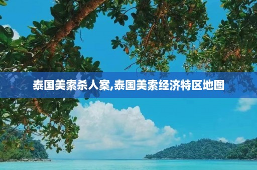 泰国美索杀人案,泰国美索经济特区地图  第1张