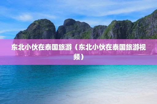 东北小伙在泰国旅游（东北小伙在泰国旅游视频）