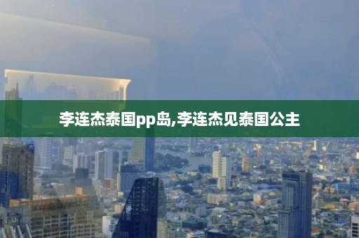 李连杰泰国pp岛,李连杰见泰国公主  第1张