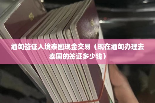 缅甸签证入境泰国现金交易（现在缅甸办理去泰国的签证多少钱）  第1张