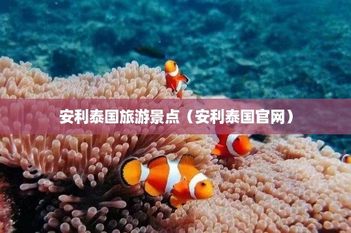 安利泰国旅游景点（安利泰国官网）