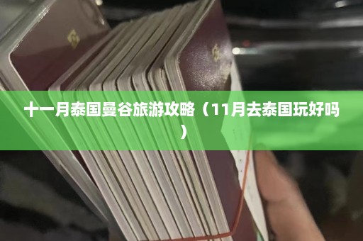 十一月泰国曼谷旅游攻略（11月去泰国玩好吗）