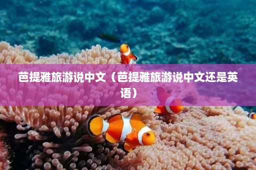 芭提雅旅游说中文（芭提雅旅游说中文还是英语）