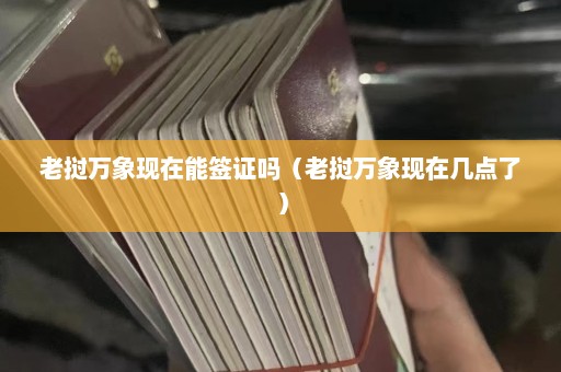 老挝万象现在能签证吗（老挝万象现在几点了）  第1张