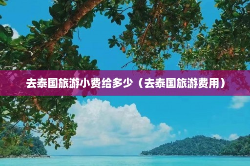 去泰国旅游小费给多少（去泰国旅游费用）