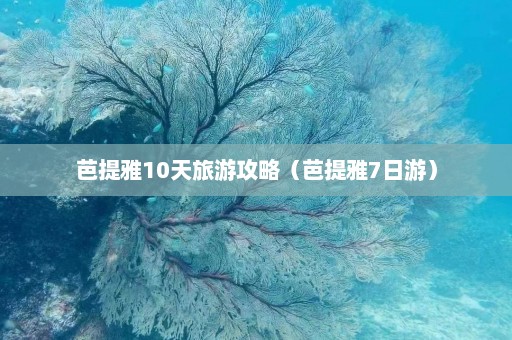 芭提雅10天旅游攻略（芭提雅7日游）