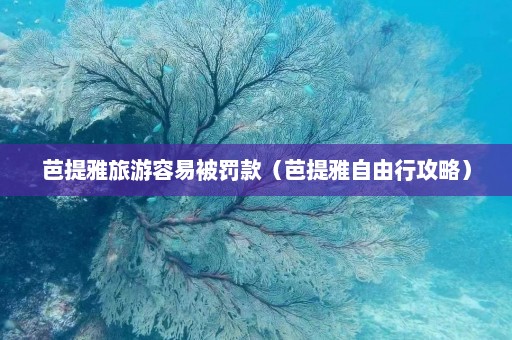 芭提雅旅游容易被罚款（芭提雅自由行攻略）