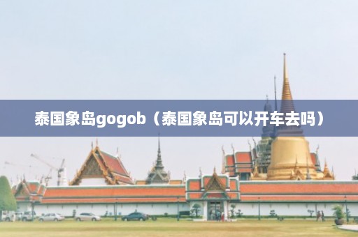 泰国象岛gogob（泰国象岛可以开车去吗）  第1张