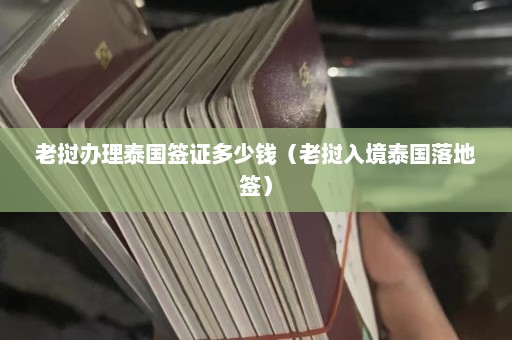 老挝办理泰国签证多少钱（老挝入境泰国落地签）  第1张